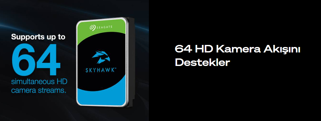 Seagate SkyHawk 10 TB diskin kamera akışı ve kayıt kapasitesi bilgilerini içeren tanıtım görseli